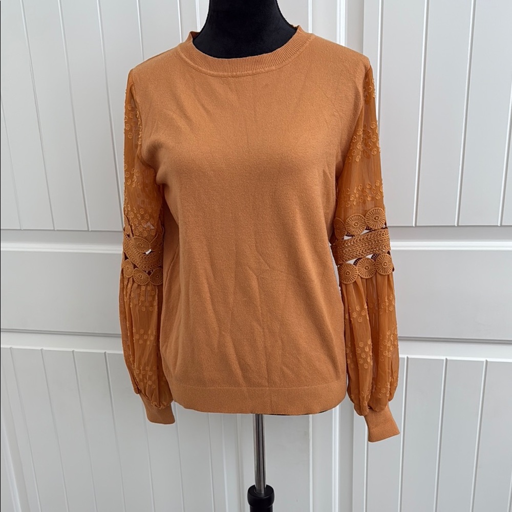 Sioni Burnt Orange Lace Sleeve Top